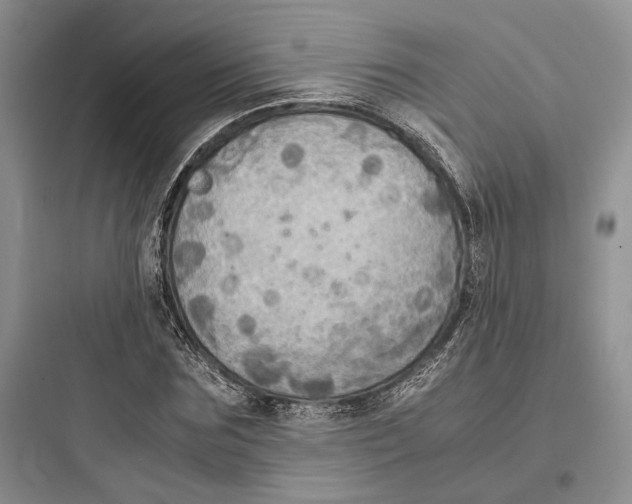 X0000097600875200803211657
