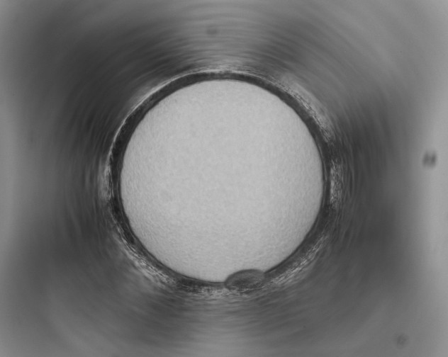 X0000097600876200803211657