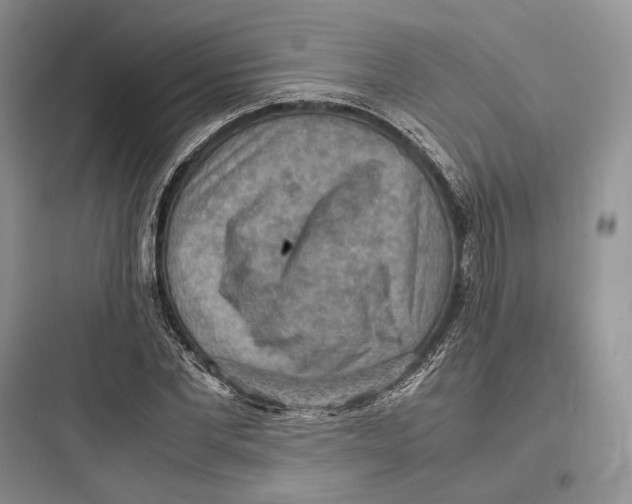 X0000097600877200803211657