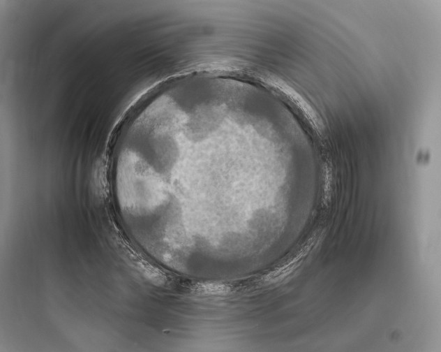 X0000097600878200803211657