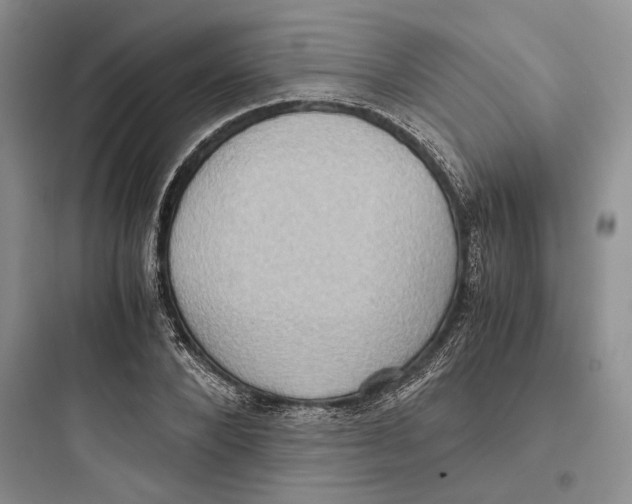 X0000097600880200803211657