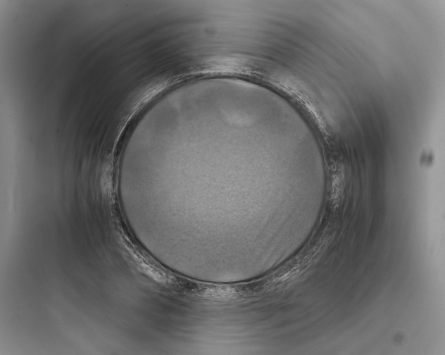 X0000097600882200803211657
