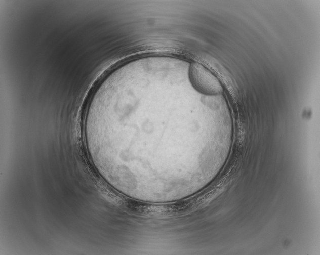 X0000097600883200803211657