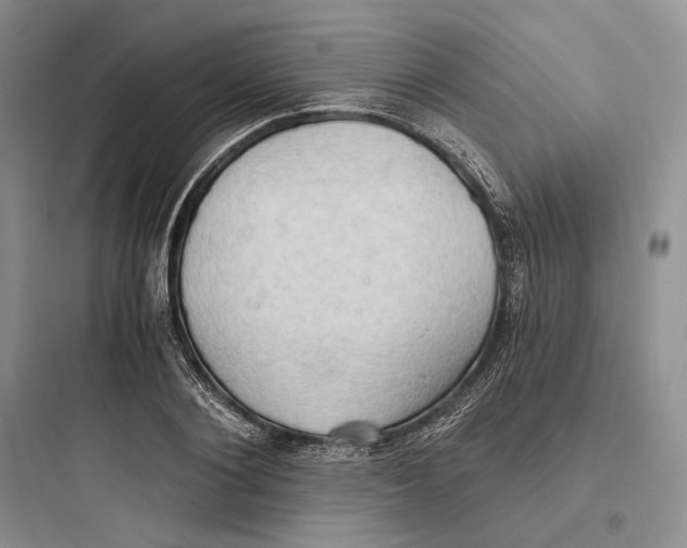 X0000097600884200803211657