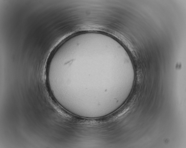 X0000097600885200803211657