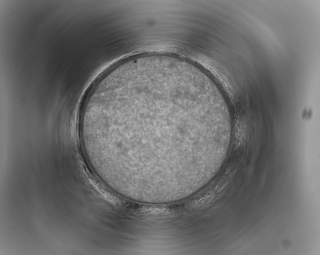 X0000097600886200803211657