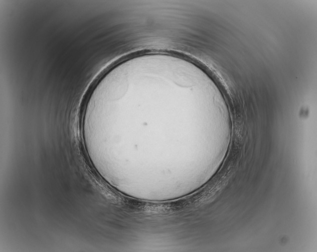 X0000097600887200803211657