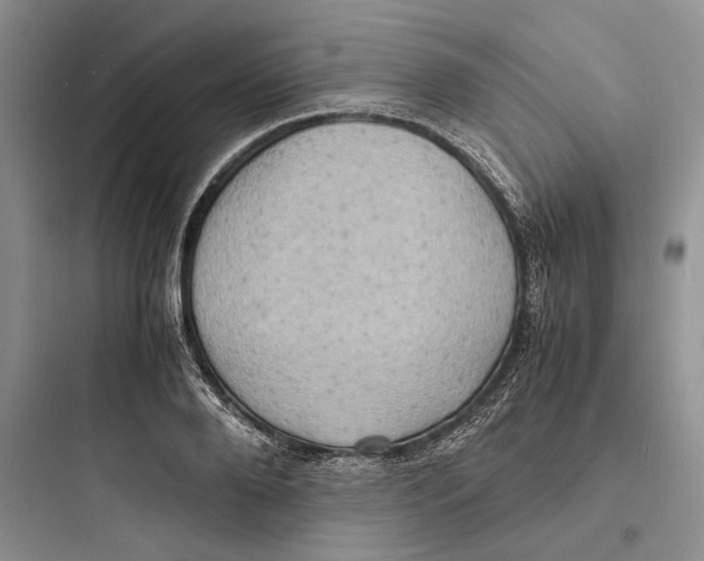 X0000097600888200803211657