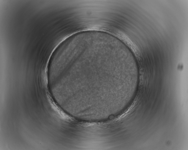 X0000097600892200803211657