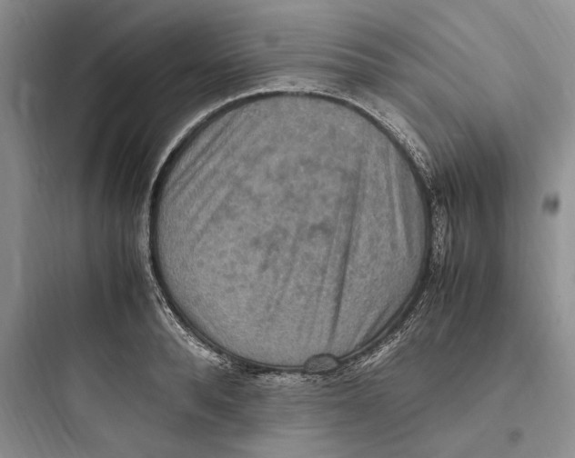 X0000097600896200803211657