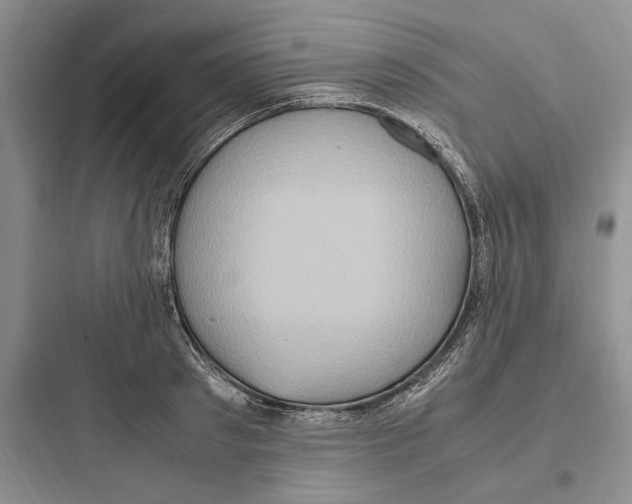 X0000097600897200803211657