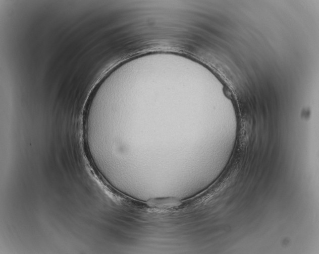 X0000097600898200803211657