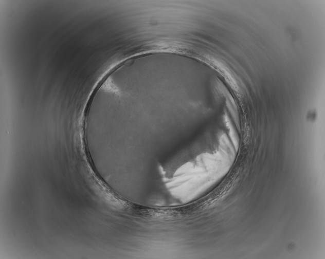 X0000097600899200803211657