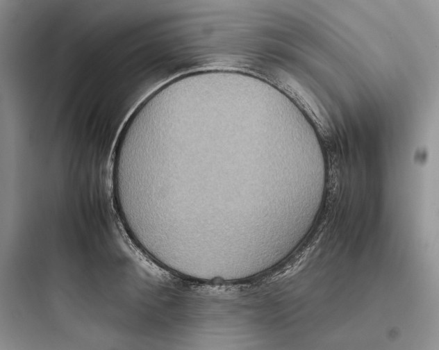 X0000097600900200803211657