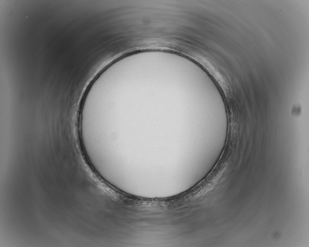 X0000097600901200803211657