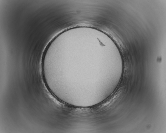 X0000097600902200803211657