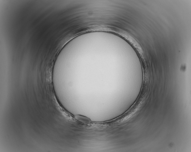 X0000097600905200803211657
