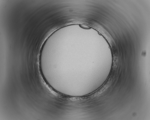 X0000097600906200803211657