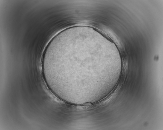 X0000097600908200803211657