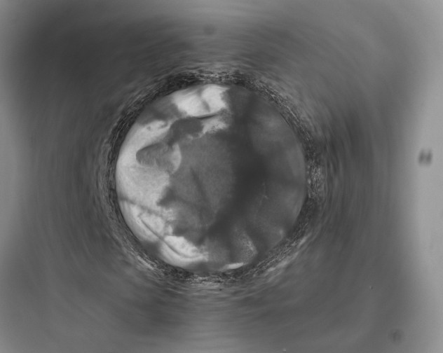 X0000097600913200803211656