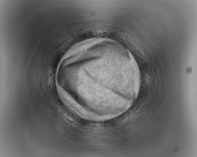 X0000097600914200803211656