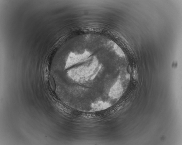 X0000097600915200803211656