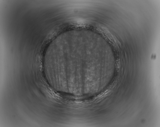 X0000097600916200803211656