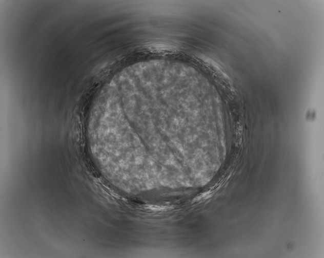 X0000097600917200803211656