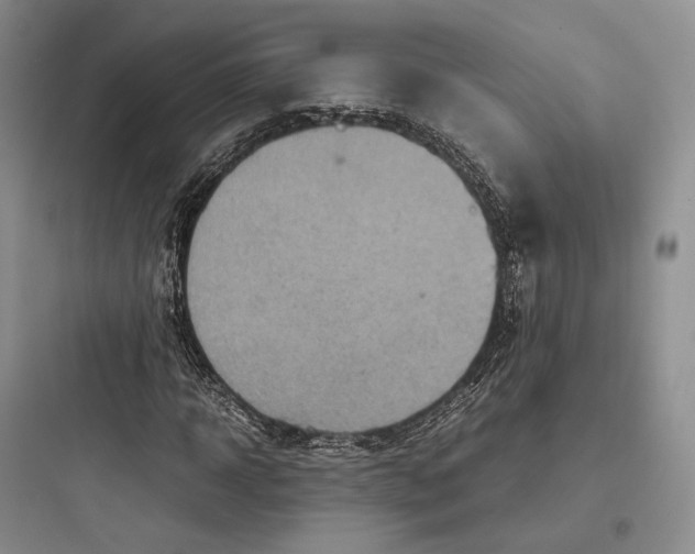 X0000097600918200803211656