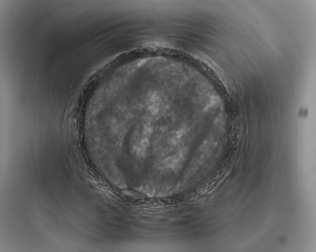 X0000097600919200803211656
