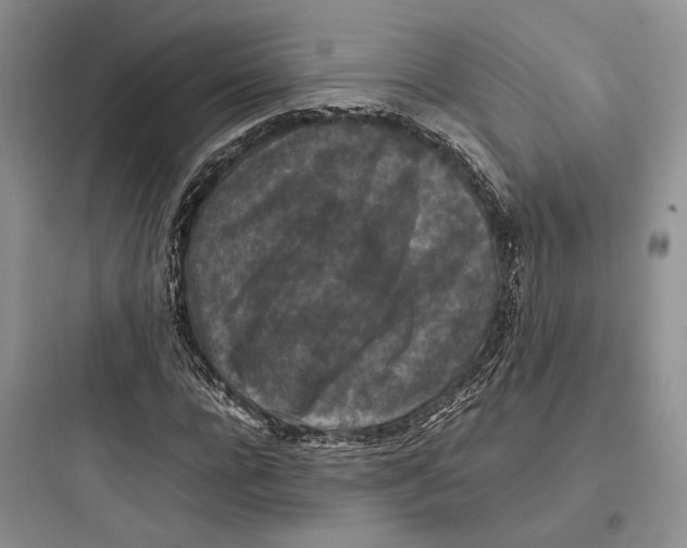 X0000097600920200803211656