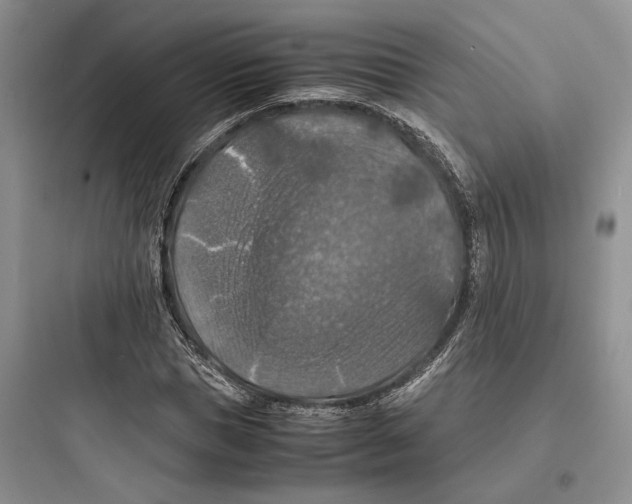 X0000097600921200803211656
