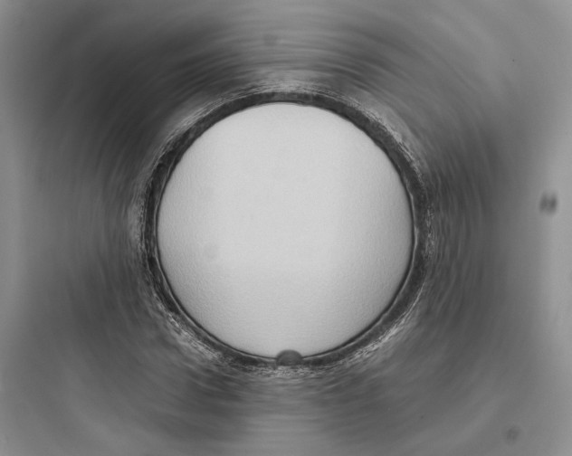 X0000097600922200803211656