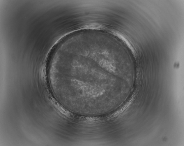 X0000097600923200803211656