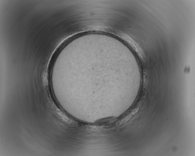 X0000097600924200803211656