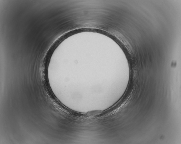 X0000097600926200803211656