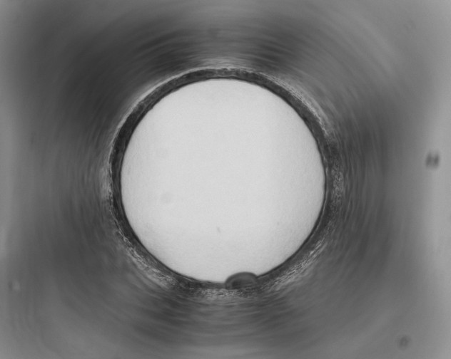X0000097600927200803211656