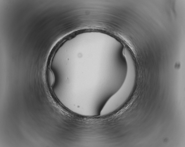 X0000097600928200803211656