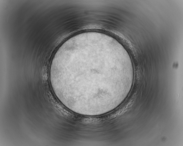 X0000097600929200803211656