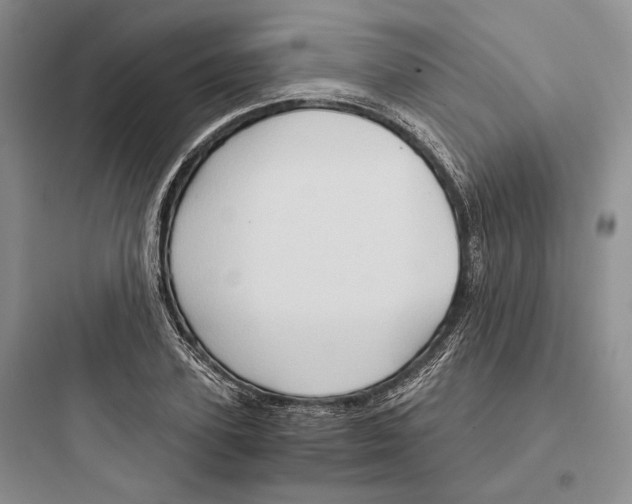 X0000097600931200803211656