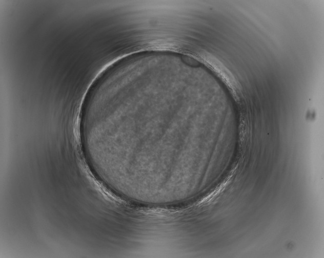 X0000097600932200803211656