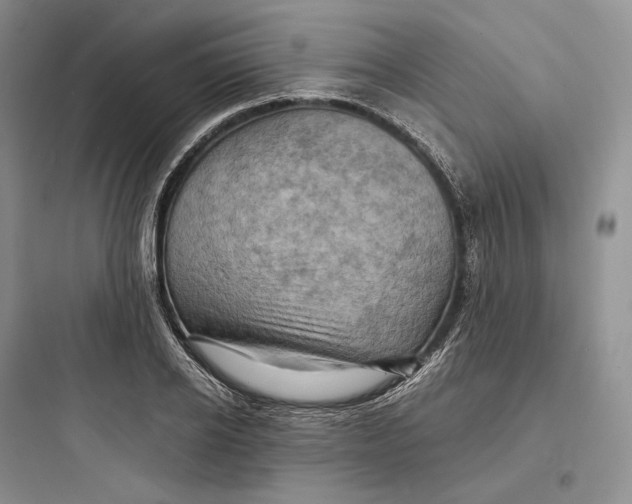 X0000097600934200803211656