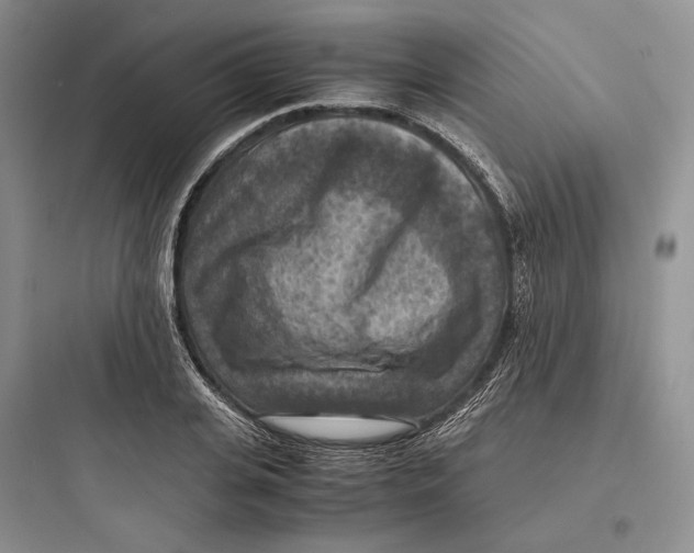 X0000097600935200803211656