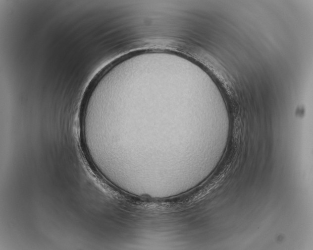X0000097600936200803211656