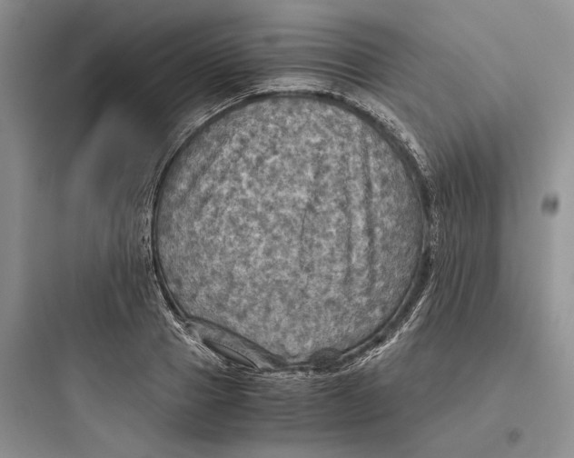 X0000097600937200803211656