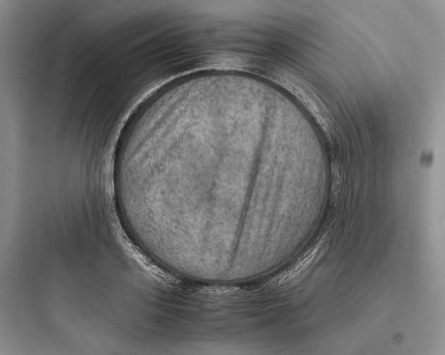 X0000097600939200803211656
