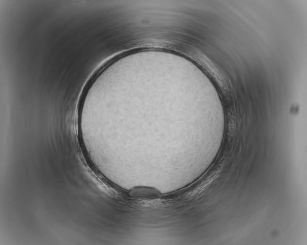 X0000097600940200803211656