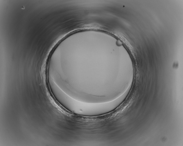 X0000097600941200803211656