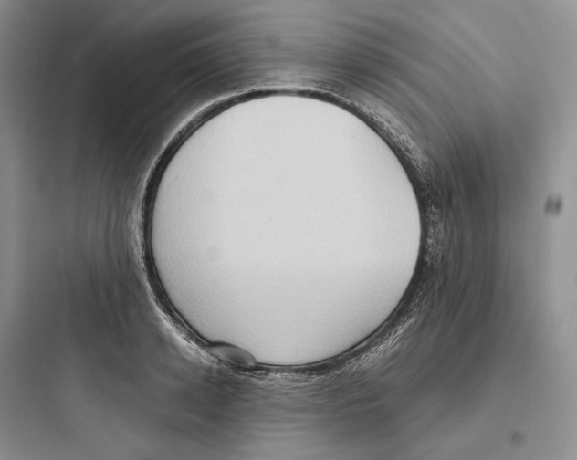 X0000097600942200803211656