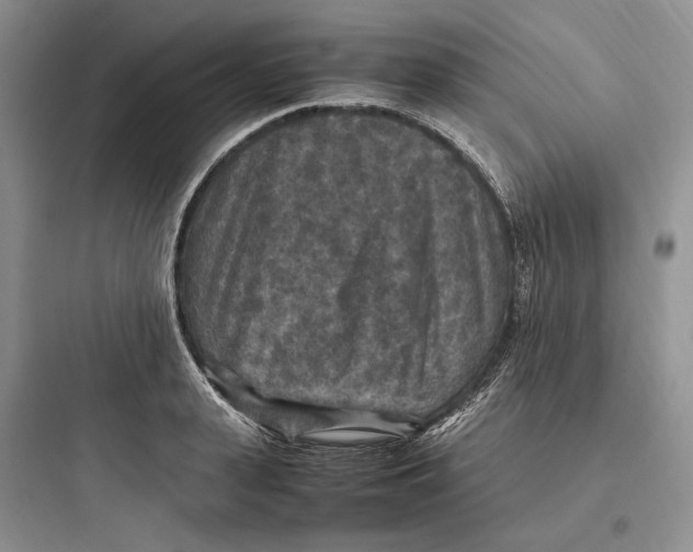 X0000097600943200803211656
